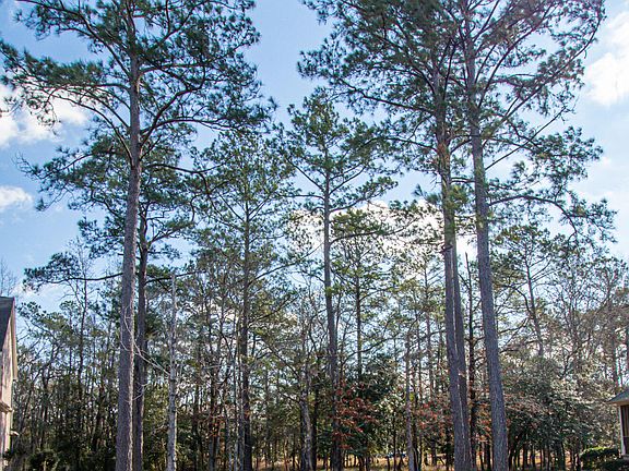 2nd image of 417 Autumn Chase SE LOT L-S2-31