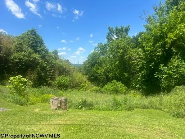 1168 Boulevard Ave, Fairmont, WV 26554