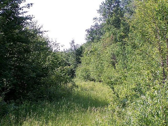 5th image of Lot 3 Jaybird Trail