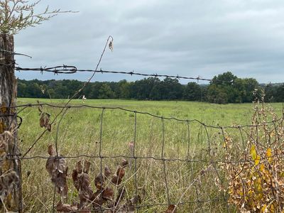 County Road 252 TRACT 2, Fulton, MO, 65251