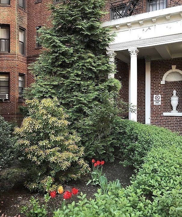 1st image of 4215 43rd Ave APT E12