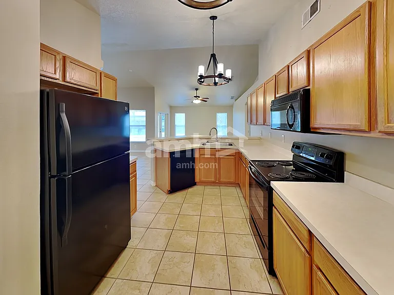 10222 Summer Elm Ave — Photo 3