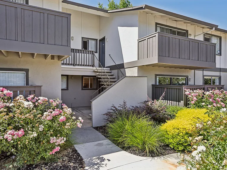 Ironwood — Photo 26