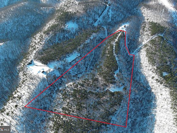 3rd image of 299 Ashton Woods Dr