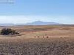 E Highway 24, Calhan, CO, 80808