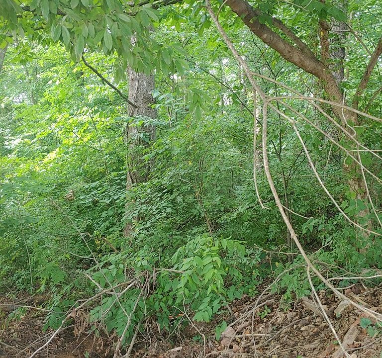 2nd image of 38 Knob Creek Rd Lot 38