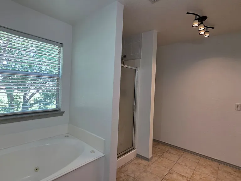 master bathroom pic 2