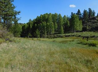 308 Dilley Rd, Westcliffe, CO 81252