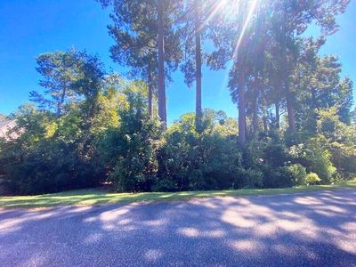 0 Chapel Creek Dr, Santee, SC, 29142