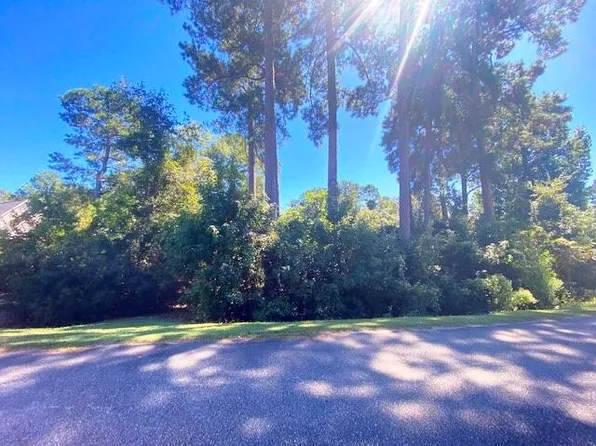 0 Chapel Creek Dr, Santee, SC 29142