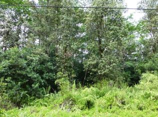21st Ave LOT 385, Keaau, HI 96749