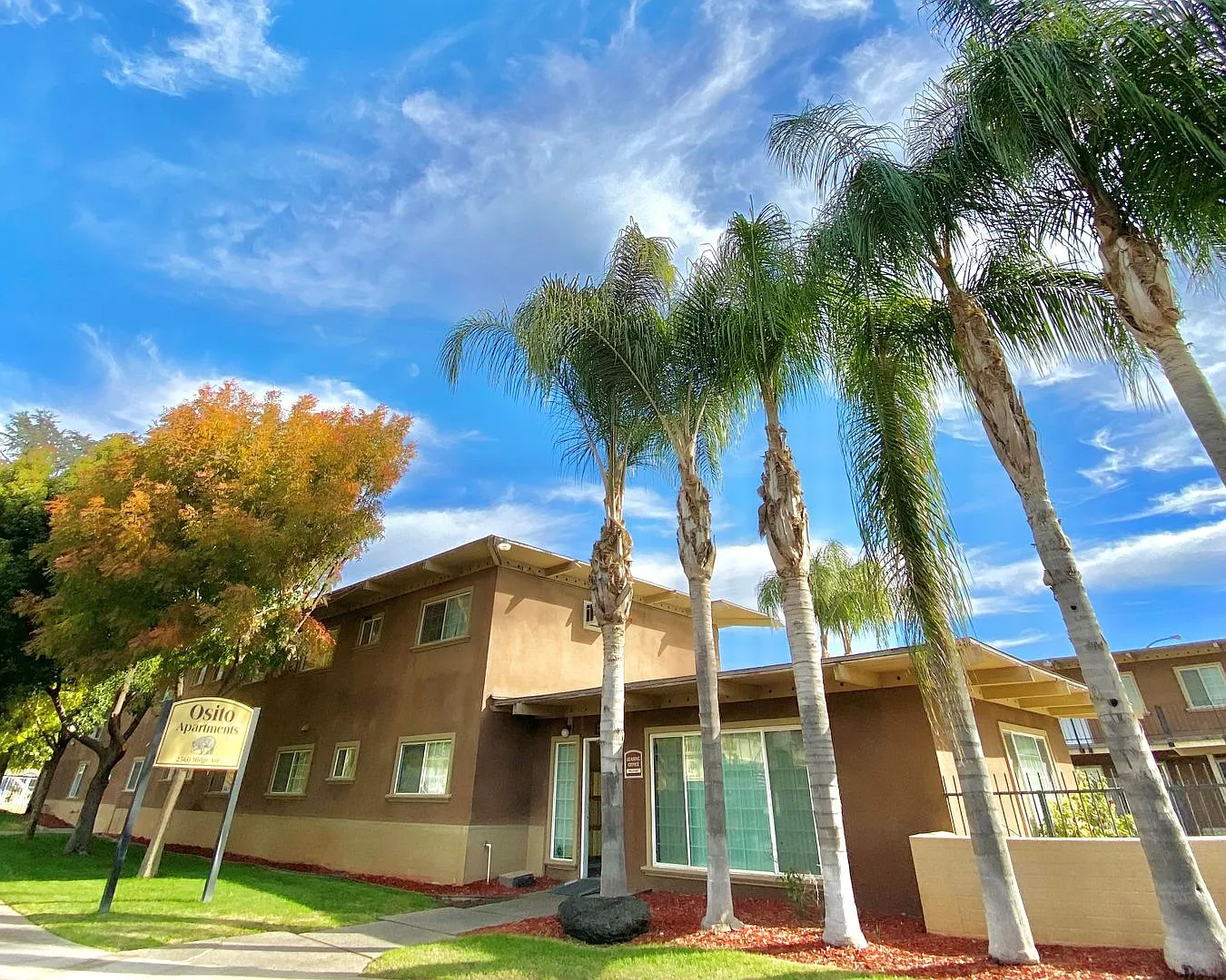 Osito Apartments — Photo 4