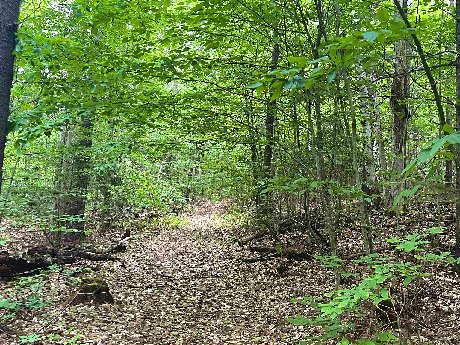 0 Branch Road, West Fairlee, VT 05083 MLS 4913584 Zillow