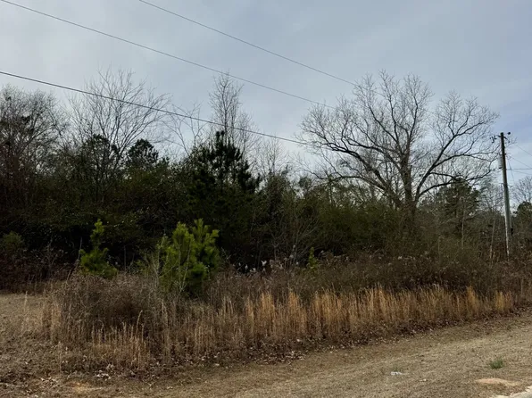 0 Mathis Rd, Sandersville, GA 31082