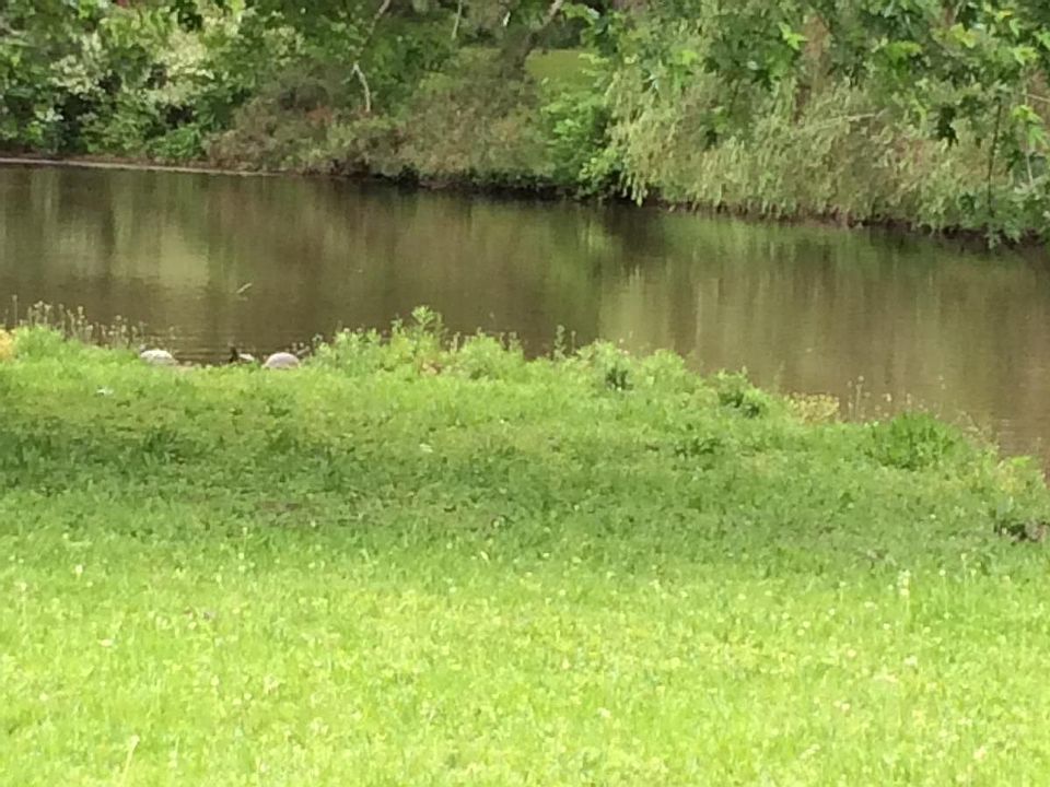 632 Soundside Rd, Edenton, NC 27932 Zillow