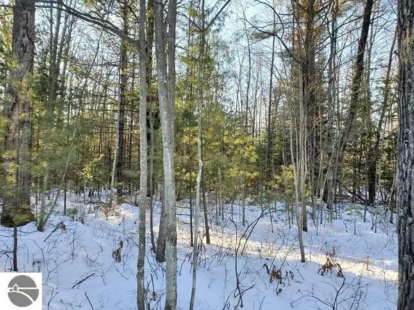 0 Pinecrest Ln, Prescott, MI 48756