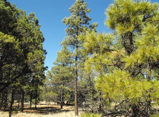 6479 Whispering Pine Dr, Happy Jack, AZ 86024