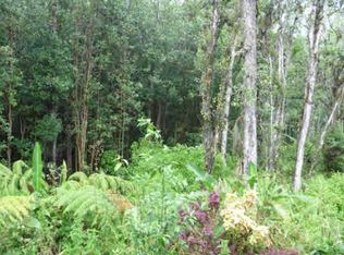 Road 7 Opeapea LOT 4758, Mountain View, HI 96771