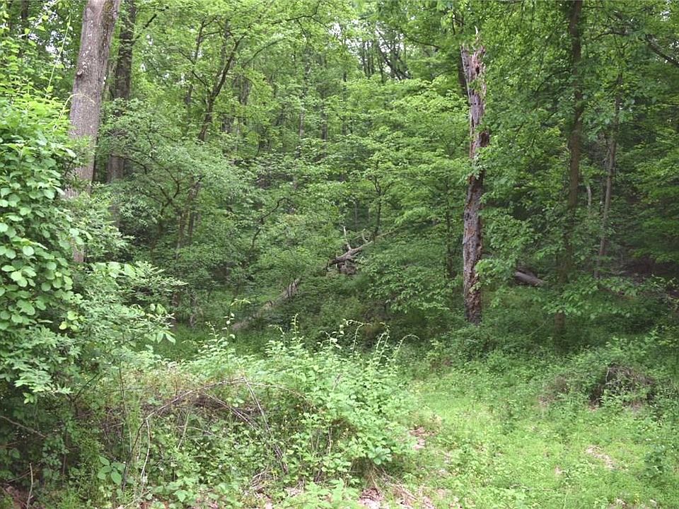 2nd image of Lots 29 34 Saunders Station Rd #29-34