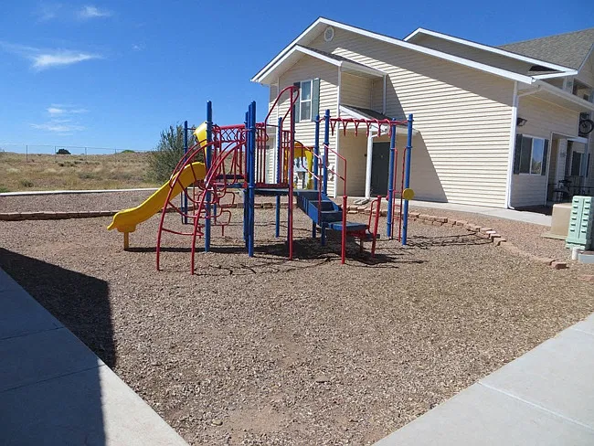 Taylor Park Meadows — Photo 3