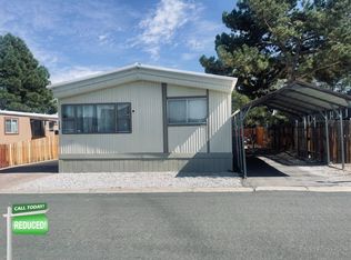 114 Skidoo Ave, Reno, NV 89506
