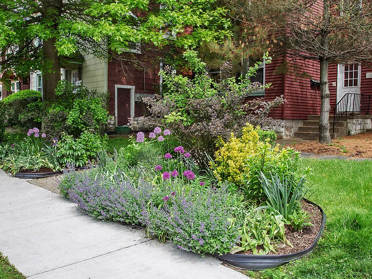 317 Franklin Ave #2 — Photo 3