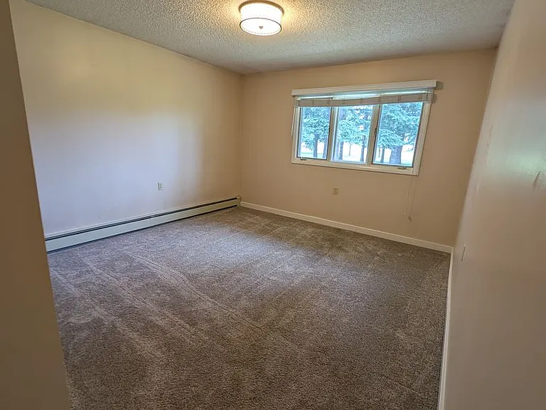 8731 Haggerty Ln — Photo 14