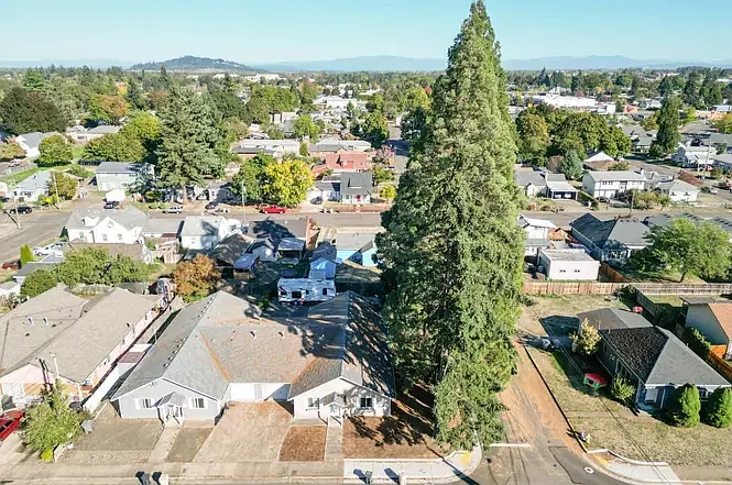 431 Geary St SE — Photo 15