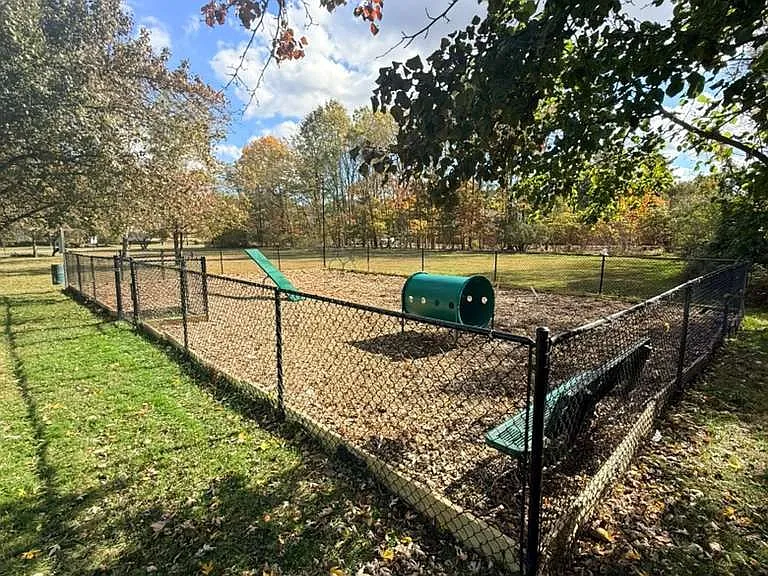 Dog Park