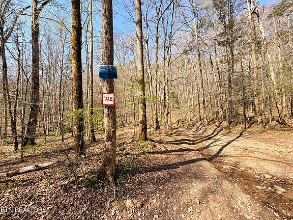 35th image of 5640 Brimstone Rd