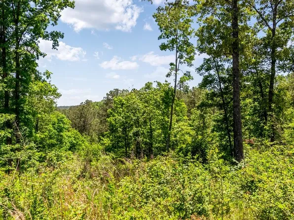 LOT 160 Shallow Water Trl, Talking Rock, GA 30175