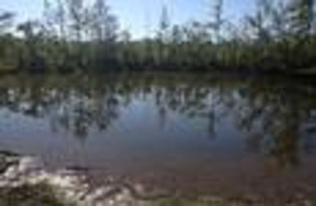 1st image of 60 Acres Broken Bow Rd