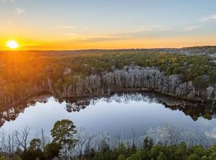 An County Rd #314, Frankston, TX 75763