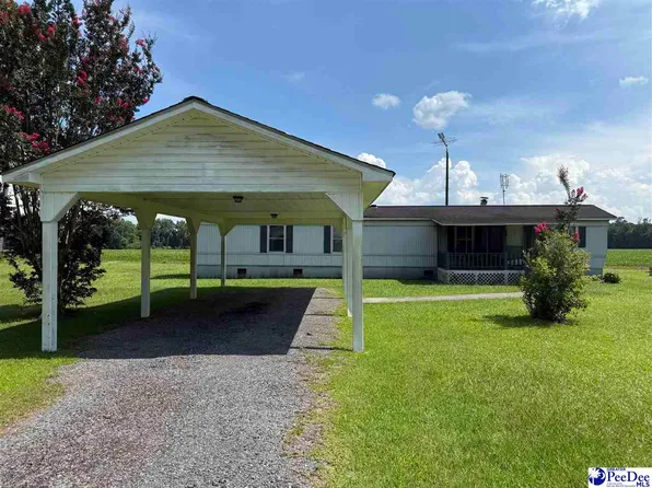 357 Loggers Rd, Hemingway, SC 29554