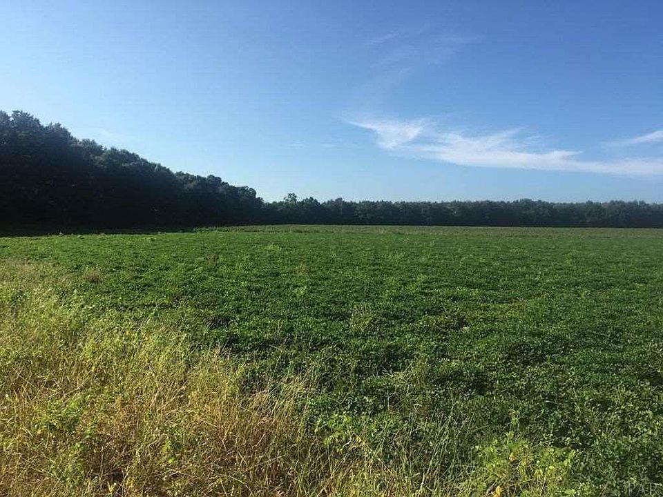 2nd image of 4791 Horace Lunsford Rd