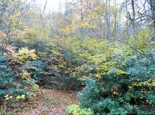 Tbd Laurel Branch Rd, Vilas, NC 28692