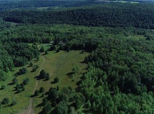 4671 Texas Hill Rd, Smyrna, NY 13464