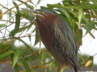 8379 NW 189th Street Rd, Hialeah, FL 33015