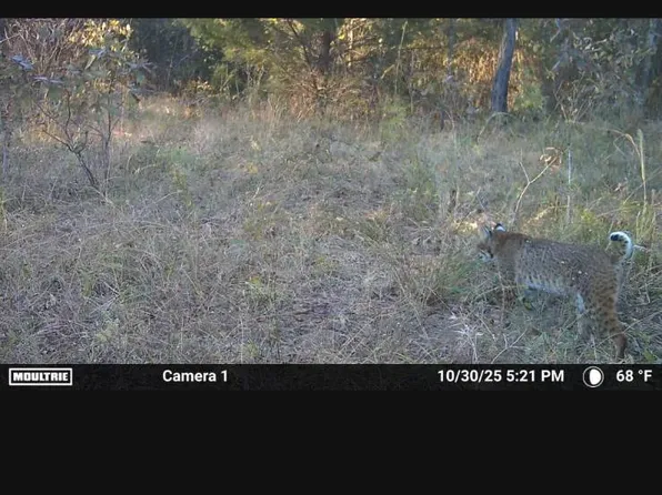 N80 Helt Rd, Antlers, OK 74523