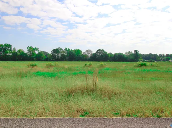 17216 Red Hill Rd, Athens, AL 35611