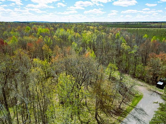 5th image of 96+ Acres on White Birch Ridge Road