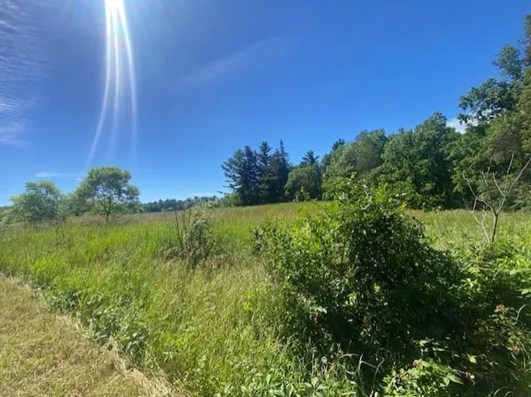 Lot 1 DEER ROAD, Custer, WI 54423