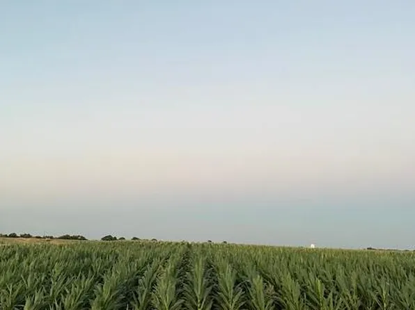 19366 S Lammers Rd, Tracy, CA 95304