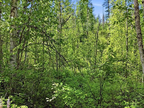 5th image of Nka Jewel Lake Rd