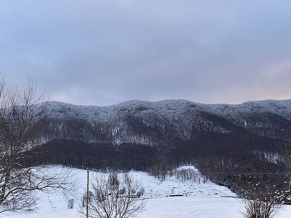 Beautiful Mountain View