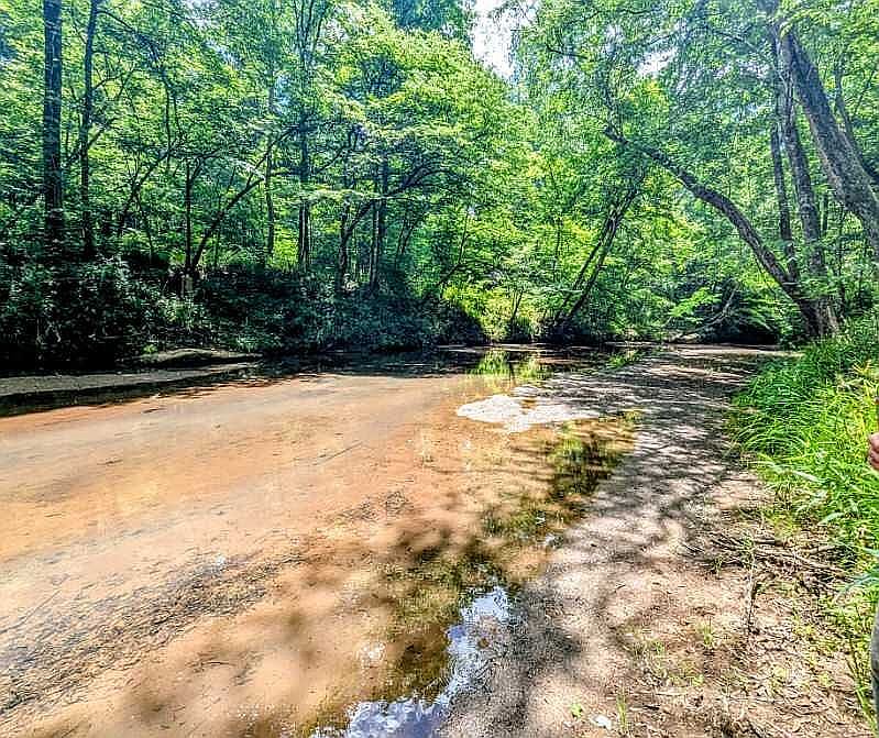 Creek on property