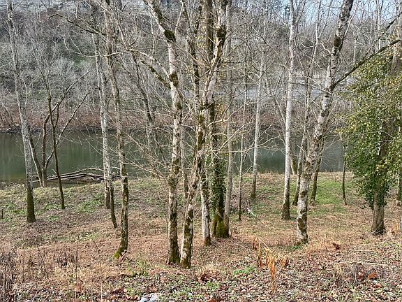 2nd image of 21 Monkey Bluff Rd
