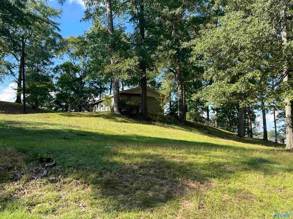 195 County Road 962, Gaylesville, AL 35973