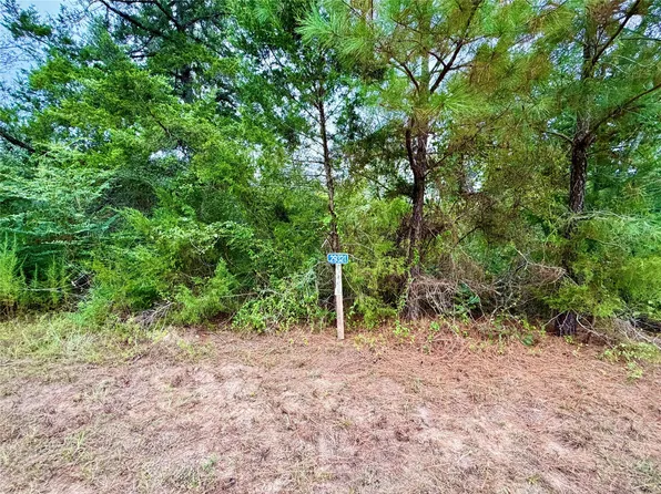 0 Cotton Tail Dr Lot 38-39, Waller, TX 77484