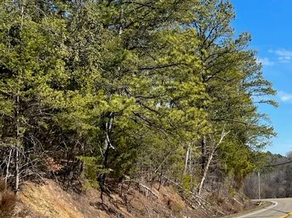 0 Highway 25/70 W, Dandridge, TN 37725